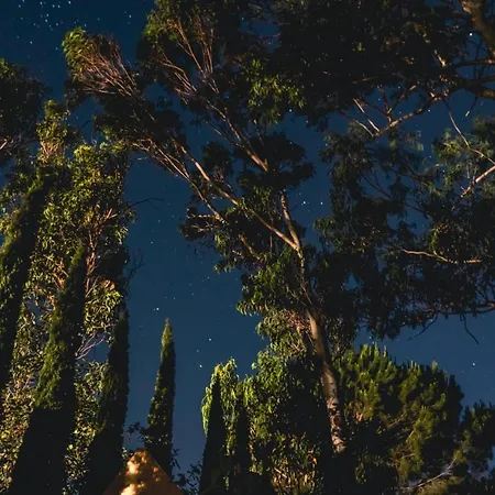 Campsite Casa Dei Prati Village Lacona